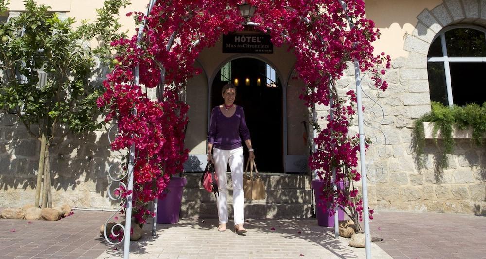Le Mas Des Citronniers Collioure Kültér fotó